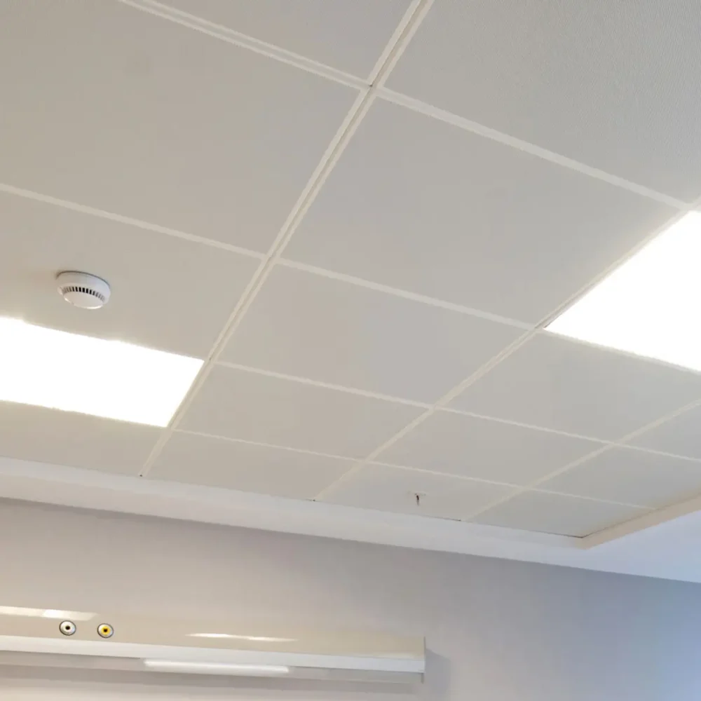 Clip-In Metal Ceiling