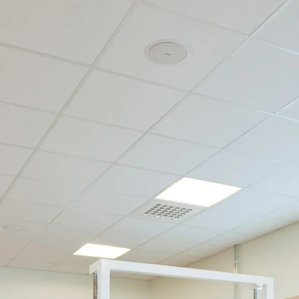 Rockwool tiles : Louna : Louna™ Natural Acoustical Ceiling | USG ME