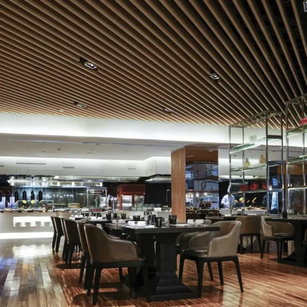 Baffle Ceiling : Paraline Metal Baffles | USG ME