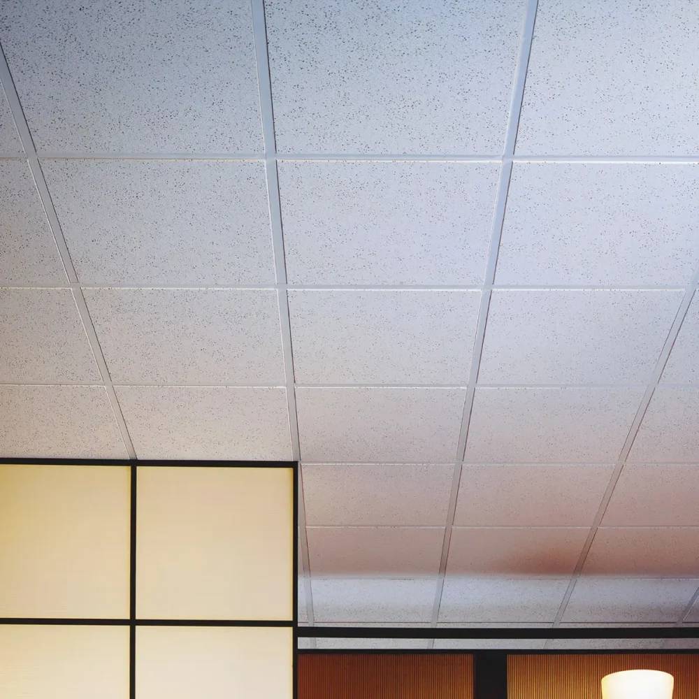 Taiga Perforated Acoustical Ceiling