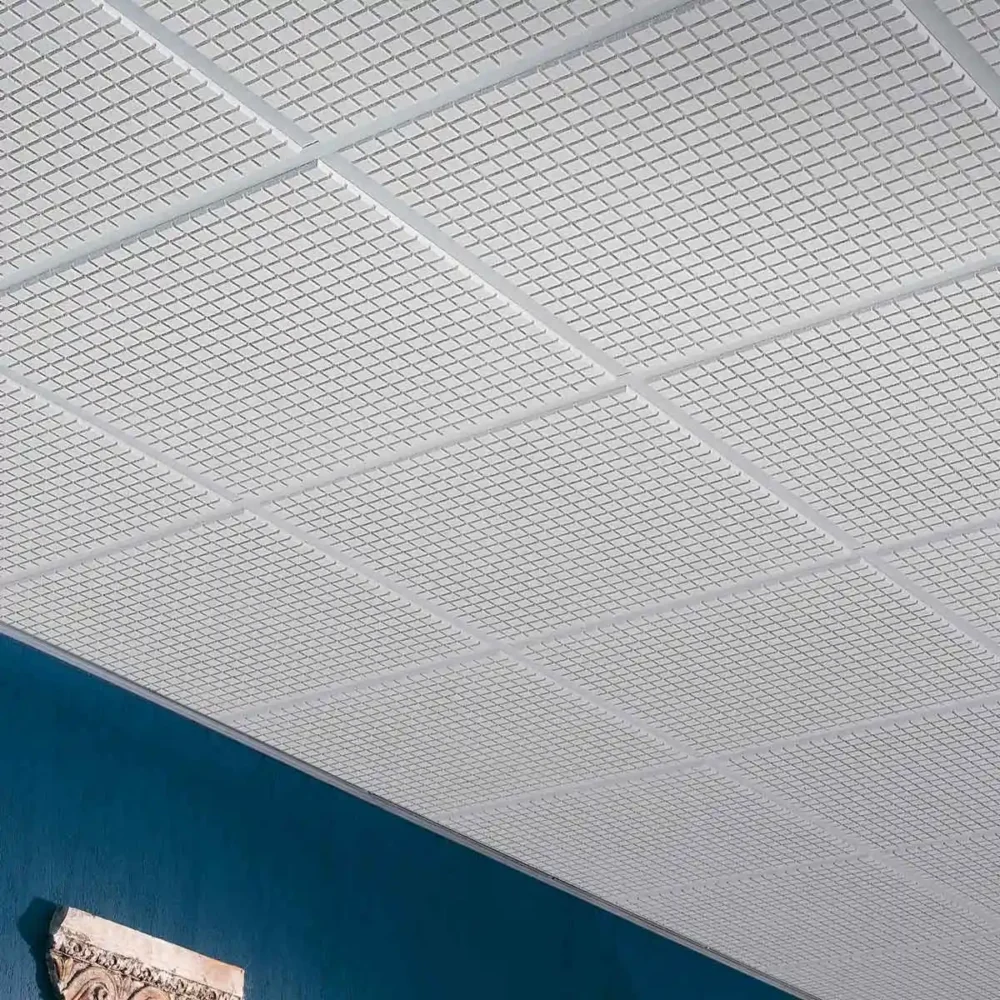 ⁦Taiga Acoustical Ceiling⁩ - الصورة ⁦2⁩